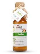Camellus Classic Ginger Syrup, 0,2 l - Syrup