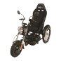 BlueTouch Elektrický vozík RID-e - Electric Scooter