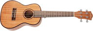 CASCHA HH 2036 CZ Konzert-Mahagoni-Ukulele Bundle - Ukulele