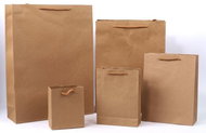 CBPAP Gift bag EKO - kraft paper, 15 × 6 × 20 cm - Gift Bag