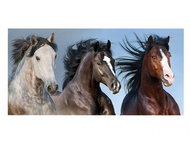 Carbotex Wild horses in nature 70 × 140 cm - Bath Towel