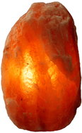Cereus Small Electric Salt Lamp approx. 2kg – Feet - Salt Lamp