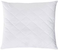 Chanar Pillow 40x50 - Pillow