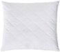 Chanar Pillow 45x45 - Pillow