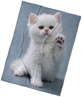 Kaptan Microplush blanket Kitty Give Pac 150 × 200 cm - Blanket