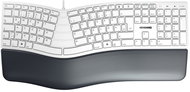 CHERRY CHERRY KC 4500 ERGO KEYBOARD CORDED GERMAN USB PALE GREY - Keyboard