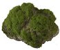 Ebi Aqua Della moss-covered stone with suction cups L 17 × 11 × 13,5 cm - Aquarium Decoration