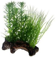 Hobby Rastliny na keramickom koreni do akvária 17 cm - Dekorácia do akvária