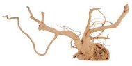 Zolux Spider root prírodné naplavené drevo 50 – 60 cm - Dekorácia do akvária