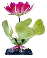 Penn Plax White Water Hyacinth 13 cm - Aquarium Decoration
