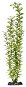 Penn Plax Blooming Ludwigia Green Super 45,5 cm - Dekorácia do akvária