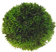 Hobby Plant Ball 13 cm - Aquarium Decoration