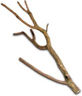 Hobby Cork Branch M 50 – 75 cm - Dekorácia do akvária