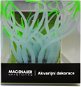 Macenauer Decoration Sea Anemone green/pink - Aquarium Decoration