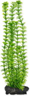 Tetra Rostlina Ambulia L 30 cm  - Dekorace do akvária