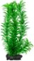 Tetra Rastlina Green Cabomba L 30 cm - Dekorácia do akvária
