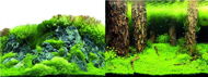 Macenauer photo wallpaper 4S 60 x 30 cm - Aquarium Background