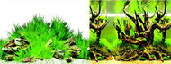 Macenauer photo wallpaper 6S 60 x 30 cm - Aquarium Background