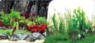 Macenauer photo wallpaper 11S 60 x 30 cm - Aquarium Background