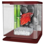 CAT-GATO Betarium Betta kit stones 2 l - Aquarium Kit