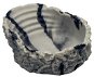 Hobby Marble bowl S 50 ml - Terrarium Supplies
