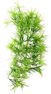Hobby Tropica popínavá rastlina dekorácia do terária 37 cm - Dekorácia do terária