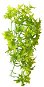 Hobby Ivy climbing plant terrarium decoration 37 cm - Terrarium Ornaments