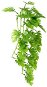 Dekorácia do terária Hobby Philo popínavá rastlina dekorácia do terária 37 cm - Dekorace do terária