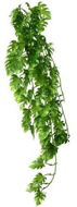 Terrarium Ornaments Hobby Philo climbing plant terrarium decoration 70 cm - Dekorace do terária