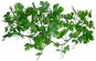 Terrarium Ornaments Lucky Reptile Jungle Vine Gape Leaf Vine 200 cm - Dekorace do terária