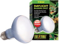 Hagen Daylight Basking Spot 75 W - Terrarium Light