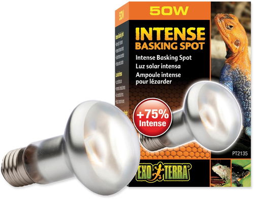 Hagen Žárovka Intense Basking Spot 50 W - Světlo do terária - Hlavní obrázek