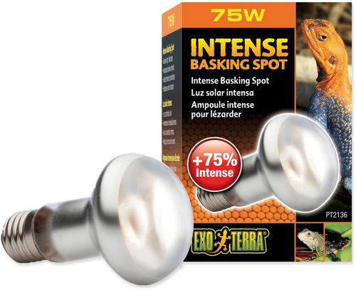 Hagen Žárovka Intense Basking Spot 75 W - Světlo do terária - Hlavní obrázek