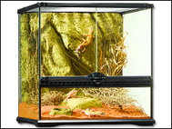 Hagen Exo Terra 45 × 45 × 45 cm - Terrarium