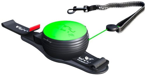Lishinu3 Neon Green XS 2-4kg - Leash - Main image