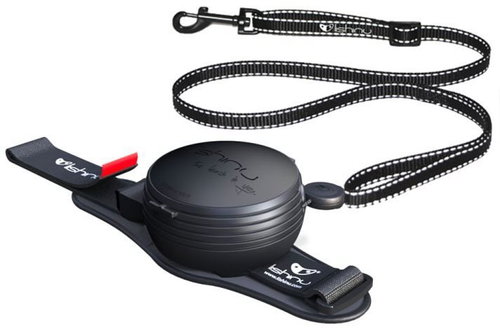 Lishinu3 3in1 Black XS 2-4 kg - Leash - Main image