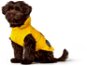 Hunter pláštenka Milford žltá 25 cm - Oblečenie pre psov
