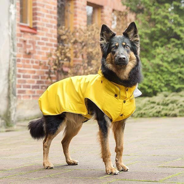 Raincoats for best sale german shepherd dogs