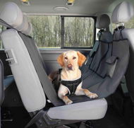 Trixie Car Seat Cover for Rear Seats with Pockets 140 × 145cm - Dog Car Seat Cover