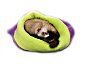 Marysa 3-in-1 for Ferrets Purple / Light Green - Snuggle Sack