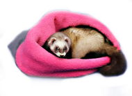 Marysa 3-in-1 for Ferrets Grey/Dark Pink - Snuggle Sack