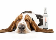 DogRelax Soothing Spray - Training Spray