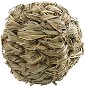 Ferplast HL Ball 5.5cm - Toy for Rodents