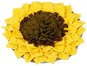 DogLemi sniffing rug Sunflower 48 cm - Dog Toy