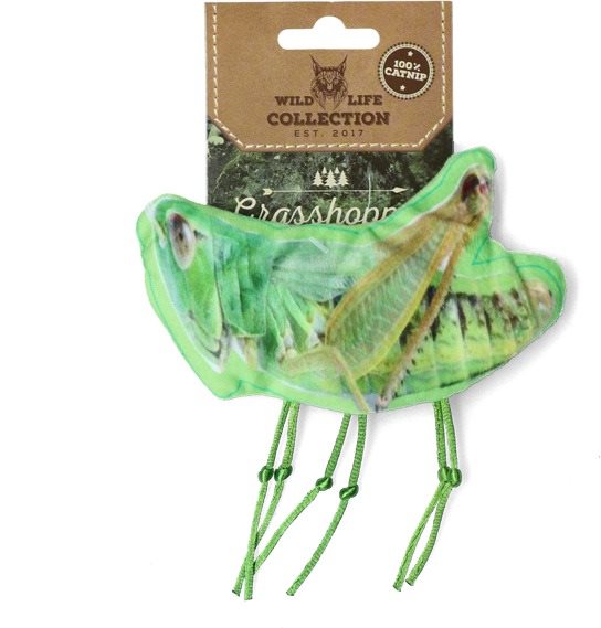 Grasshopper 2024 cat toy