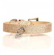 M&P Collar Stardust Gold 40 × 2 cm - Dog Collar