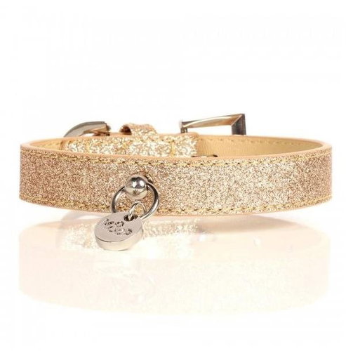 M&P Collar Stardust Gold 45 × 2 cm - Dog Collar - Main image