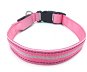 Bentech LED Illuminated Collar DC1200 Pink - Dog Collar