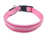 Bentech LED illuminated collar DC1200 pink M - Dog Collar
