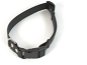 Dog Collar Fenica Collar iQsil black 2,5 × 38-62 cm - Obojek pro psy